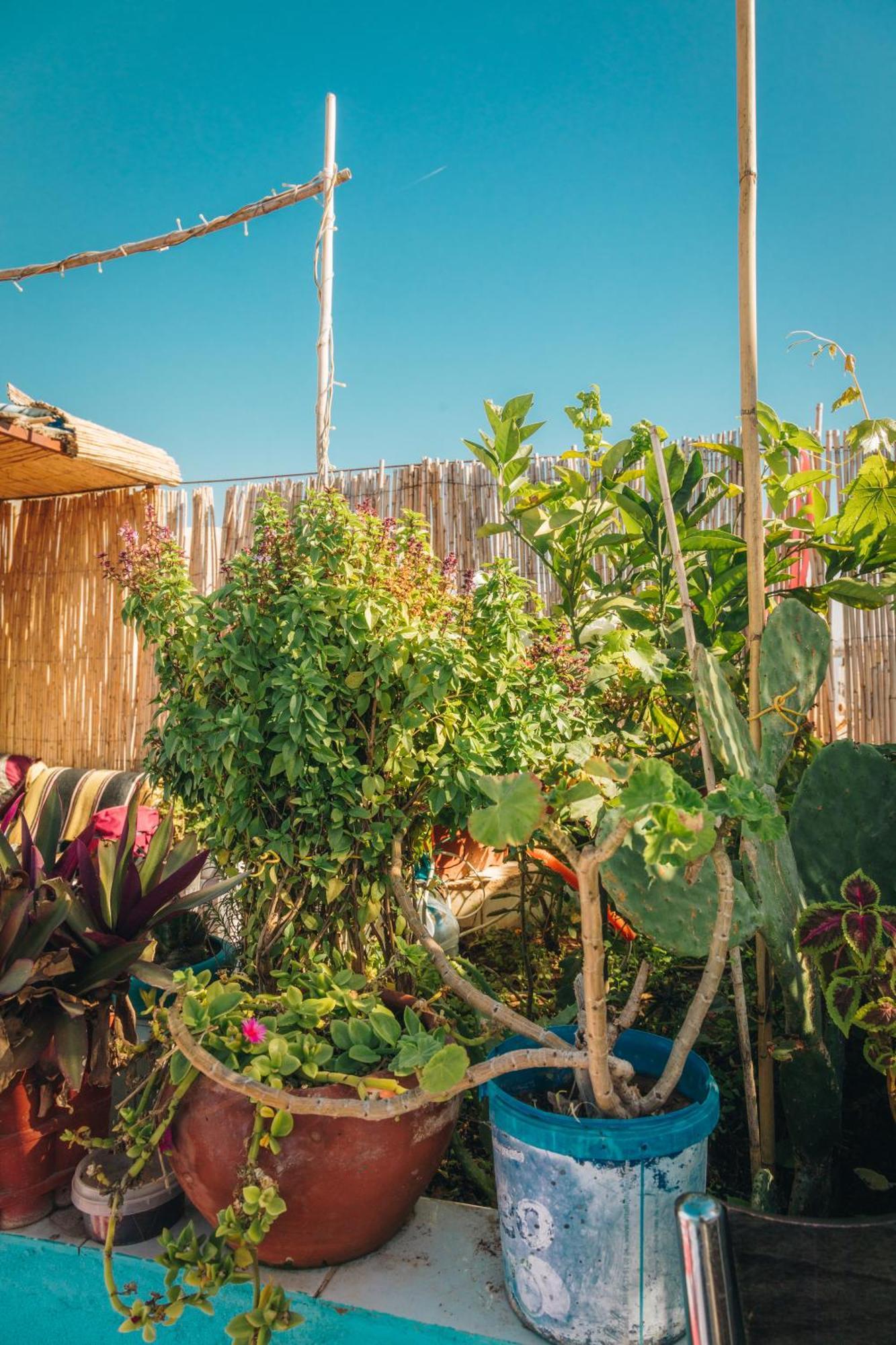 Moroccan Family House Agadir Zewnętrze zdjęcie